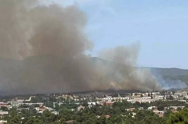 Φωτιά στη Δροσοπηγή Αφιδνών - Ισχυρές δυνάμεις της πυροσβεστικής και εναέρια μέσα στο σημείο