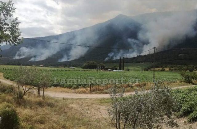 Εμπρηστές πάνε να κάψουν τον Παρνασσό