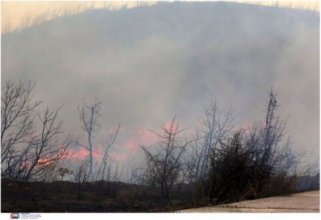 Αυξάνεται ο αριθμός των νεκρών μεταναστών στον Έβρο - Δεκάδες σοροί έχουν βρεθεί από τις αρχές