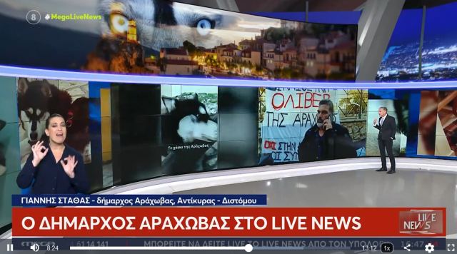 Αράχωβα: Τι λέει ο ιδιοκτήτης του Χάσκι - Όλα τα νεότερα για τις έρευνες