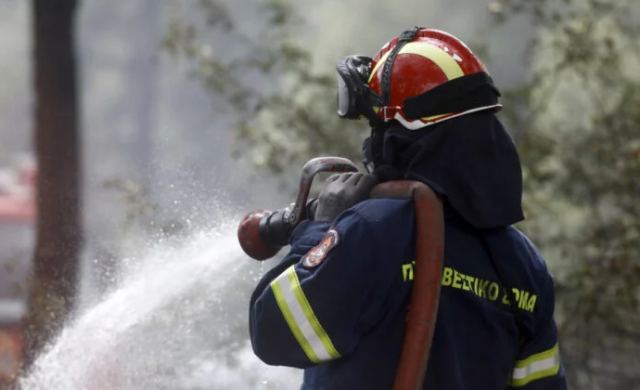 Φωτιά στη Βοιωτία - Ισχυρές δυνάμεις στο σημείο