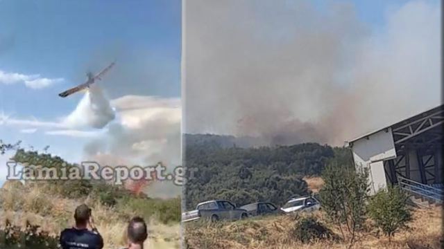 Φθιώτιδα: Πρόλαβαν την πυρκαγιά πάνω από το Παράρτημα ΑμεΑ Δομοκού