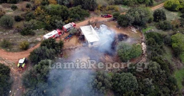 Δαμάστα: Κάηκαν ζώα από πυρκαγιά σε στάνη (ΒΙΝΤΕΟ-ΦΩΤΟ)