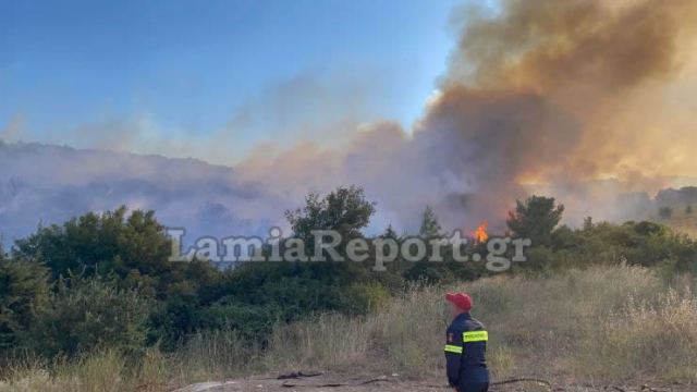 Υψηλός κίνδυνος πυρκαγιάς σε Φθιώτιδα, Βοιωτία, Εύβοια