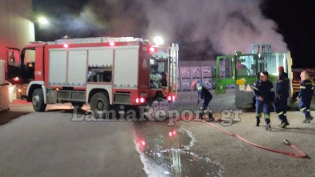 Πυρκαγιά σε κοντέινερ στη ΒΙ.ΠΕ. Λαμίας (ΦΩΤΟ)