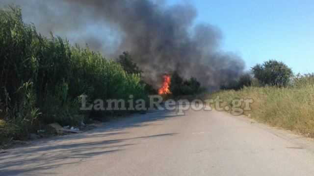 Νέα πυρκαγιά έξω από τα Καμένα Βούρλα - Σηκώθηκαν τα PZL (ΦΩΤΟ)