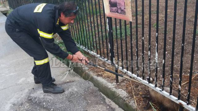 Λαμία: Απρόσκλητος επισκέπτης σε σπίτι!