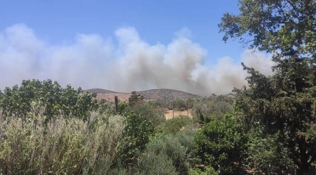 Μεγάλη φωτιά στη Βάρης – Κορωπίου, μήνυμα από το 112 – Εκκενώνεται η περιοχή Λαμπρικά