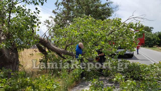 Λαμία: Στο τσακ τη γλίτωσε αυτοκίνητο (ΒΙΝΤΕΟ - ΦΩΤΟ)