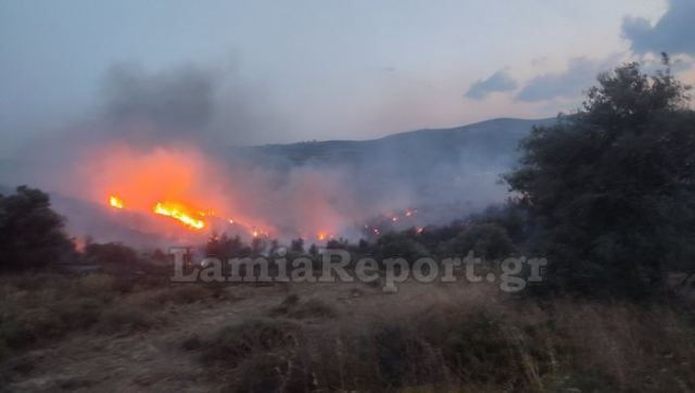 Σε ύφεση η φωτιά στην Εύβοια: Μάχη με διάσπαρτες εστίες - ΒΙΝΤΕΟ