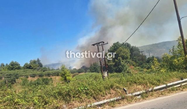 Υπό έλεγχο η φωτιά στη Χαλκιδική