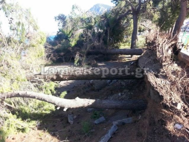 Καμένα Βούρλα: Έριξε δέντρα, κολόνες, ξήλωσε πεζοδρόμια - ΦΩΤΟ