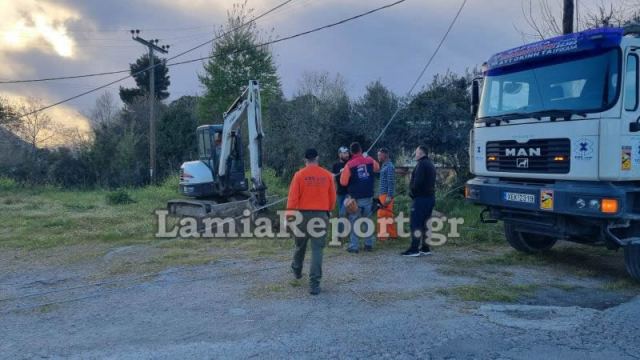 Λαμία: Αποκαταστάθηκε η βλάβη που προκλήθηκε από πτώση δέντρου σε καλώδια της ΔΕΗ