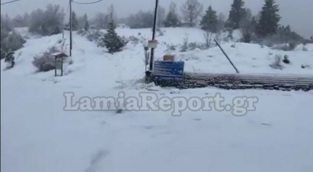 Ισχυρή χιονόπτωση στη Δυτική Φθιώτιδα & την Ευρυτανία (ΒΙΝΤΕΟ)