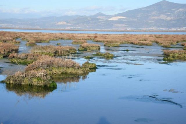 «Υπερδράση» για το Περιβάλλον στις εκβολές του Σπερχειού