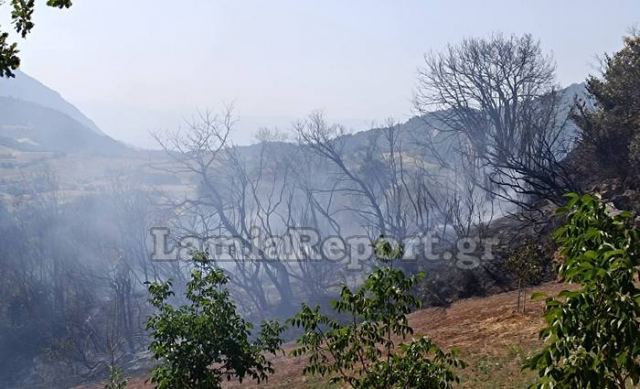 Από πυρκαγιά σε πυρκαγιά τρέχει η Πυροσβεστική σε όλη τη Στερεά