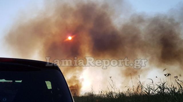 Σύλληψη γυναίκας στη Φωκίδα και τριχίλιαρο πρόστιμο για άναμμα φωτιάς