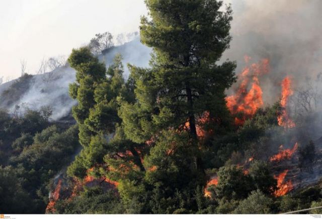 Σε εξέλιξη μεγάλη πυρκαγιά στην Εύβοια