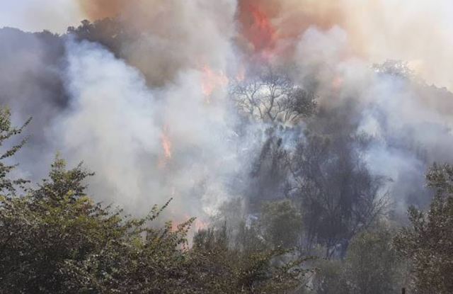 Φωτιά στην Αιτωλοακαρνανία – Στη μάχη και εναέρια μέσα