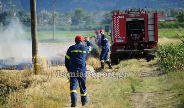 Συναγερμός για πυρκαγιά δίπλα σε σπίτια στη νότια Λαμία (ΒΙΝΤΕΟ-ΦΩΤΟ)