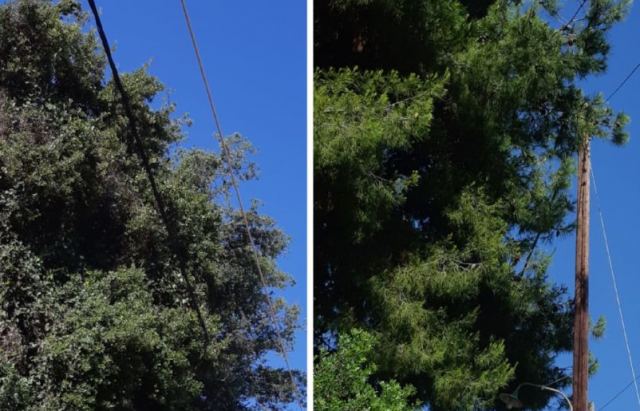 Μεγάλος κίνδυνος πυρκαγιάς σε οικισμό της Αρκίτσας