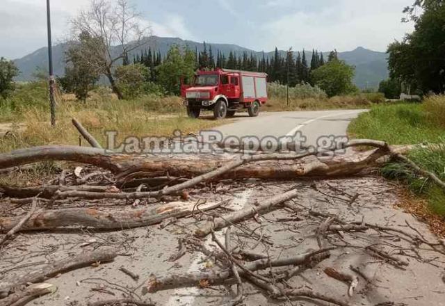 Έτρεχε και για πεσμένα δέντρα η Πυροσβεστική