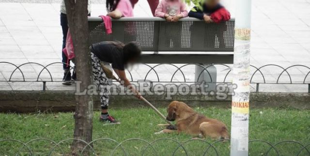 Λαμία: Έριχναν το νεογέννητο γατάκι στο σκύλο να το φάει - ΒΙΝΤΕΟ