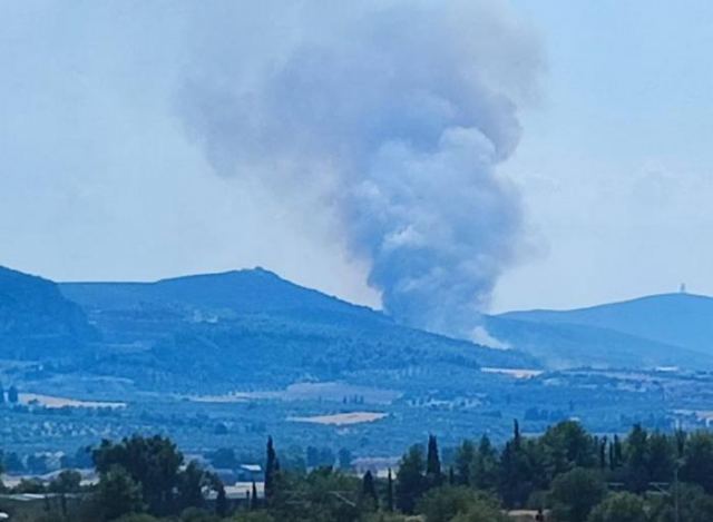 Πυρκαγιές από κεραυνούς στο Δήμο Τανάγρας